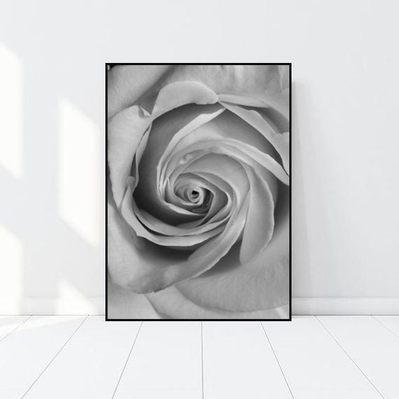 Rosa en Blanco y Negro