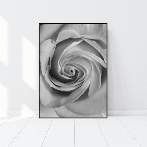 Rosa en Blanco y Negro