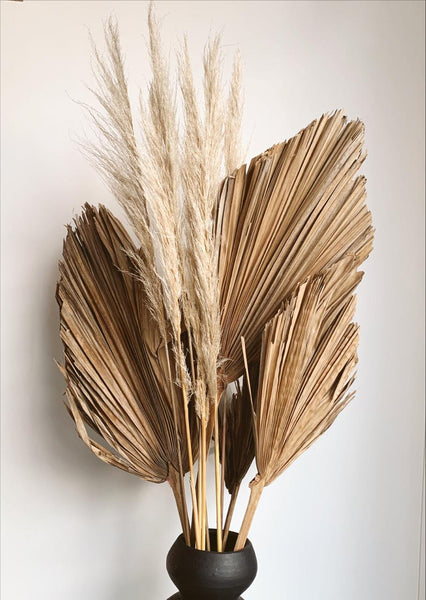 Pampas Grass delgadas